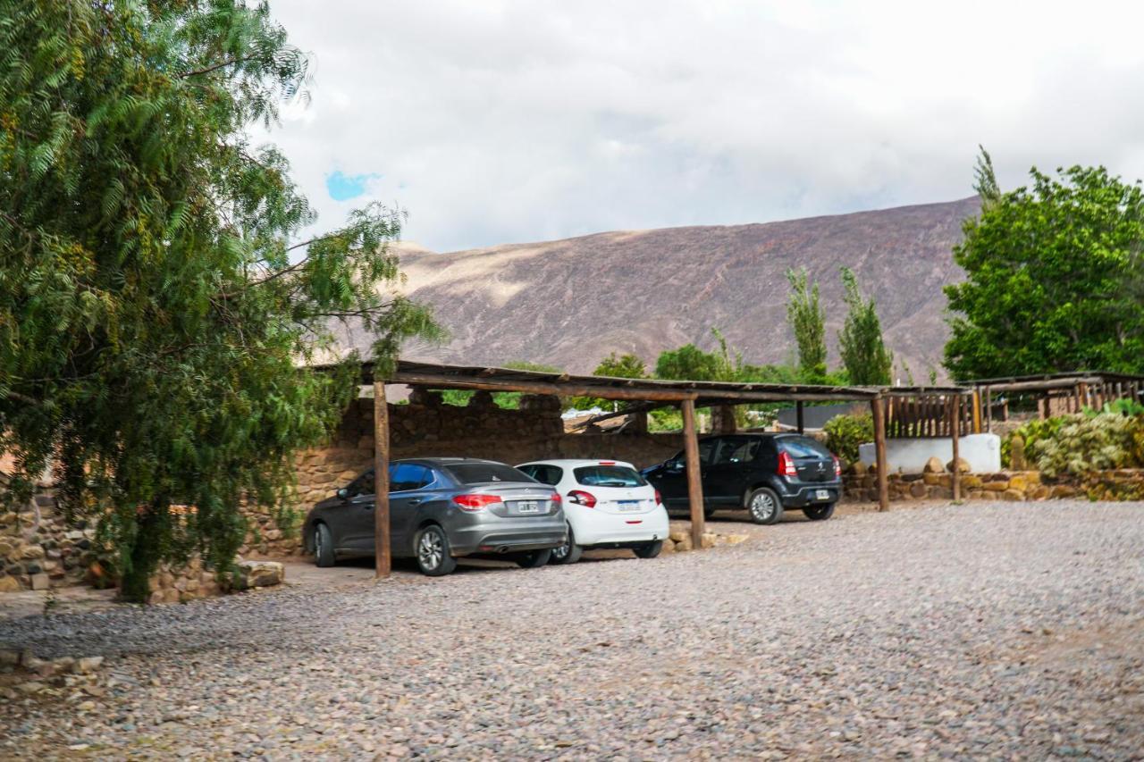 Tierra Andina Hostal Y Cabanasティルカラ エクステリア 写真