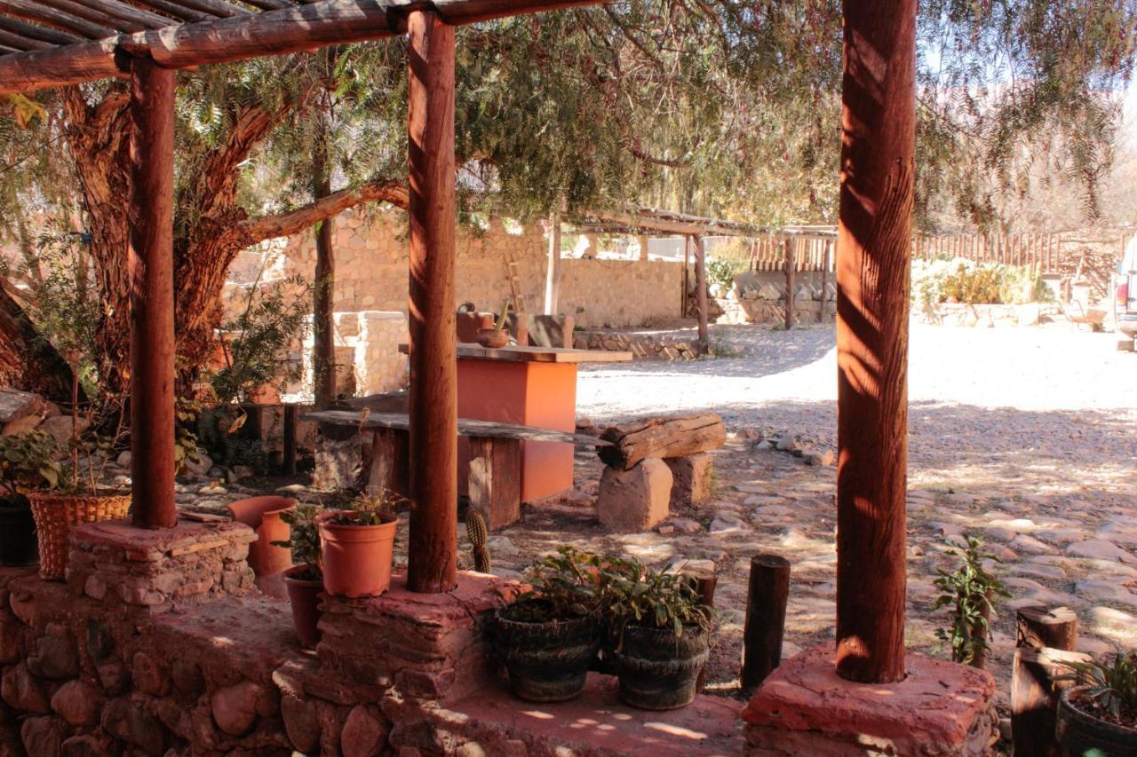 Tierra Andina Hostal Y Cabanasティルカラ エクステリア 写真