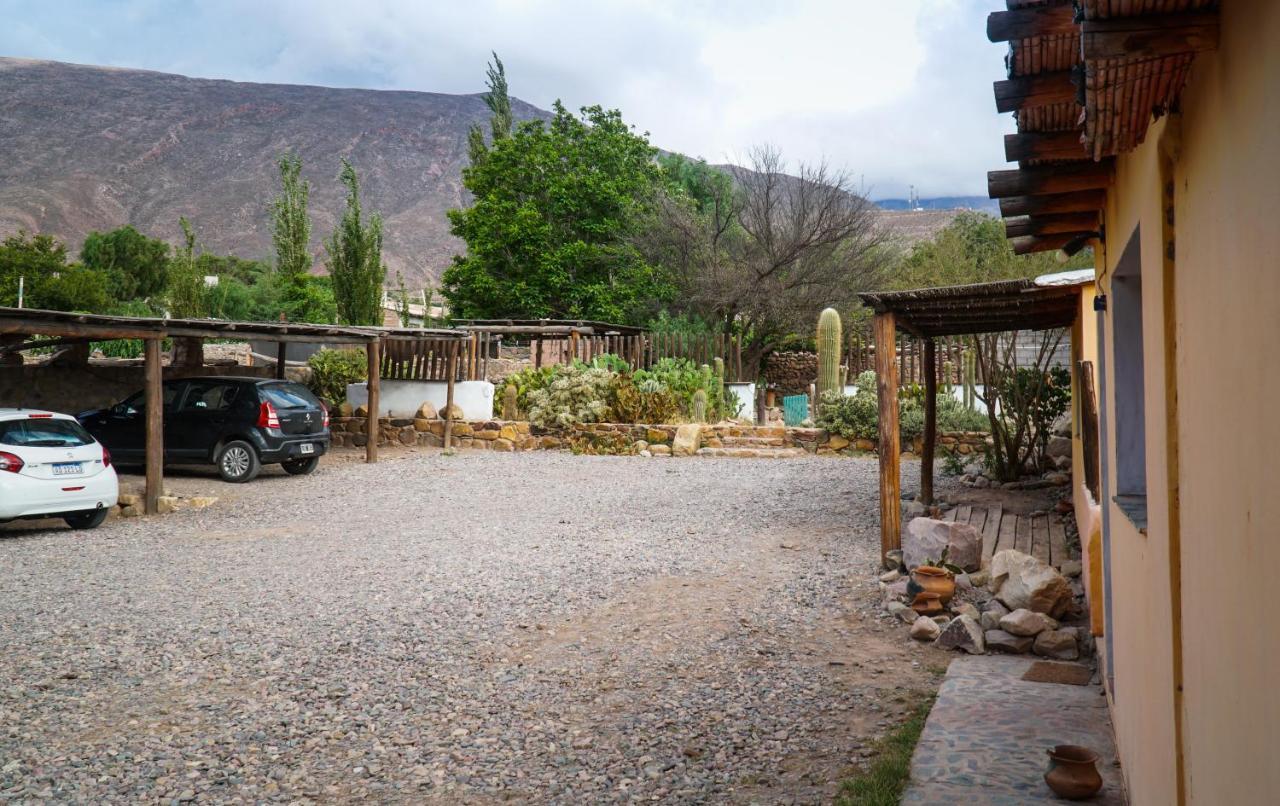 Tierra Andina Hostal Y Cabanasティルカラ エクステリア 写真