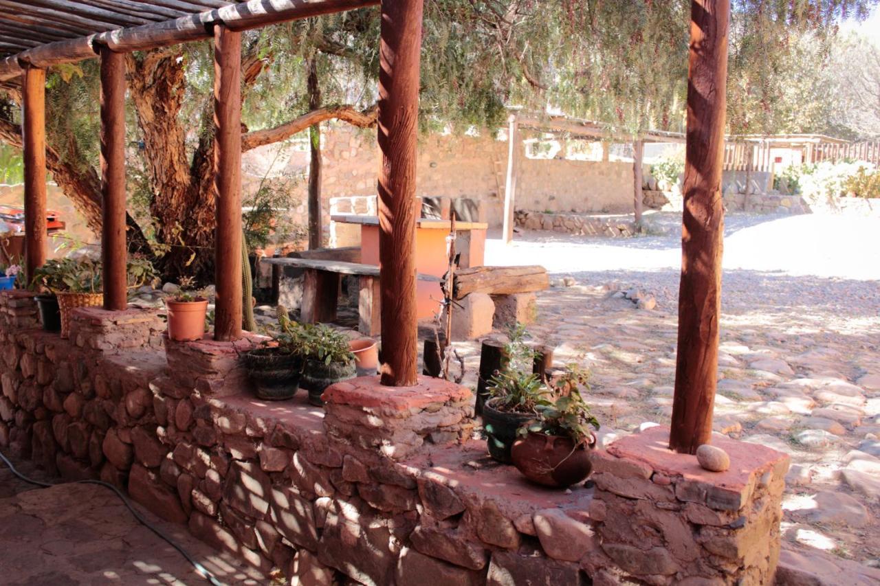 Tierra Andina Hostal Y Cabanasティルカラ エクステリア 写真